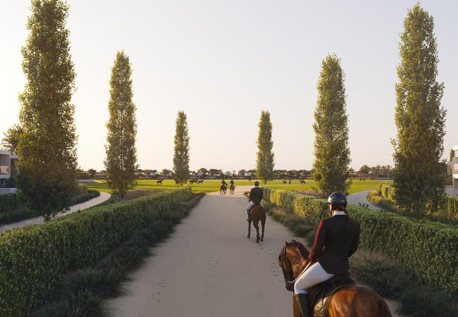 HERO_1620X832_1-17-min